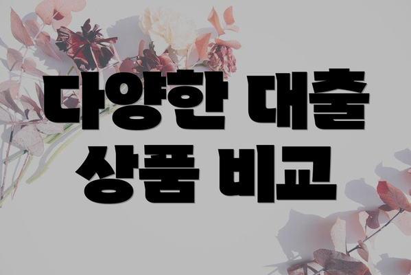 다양한 대출 상품 비교