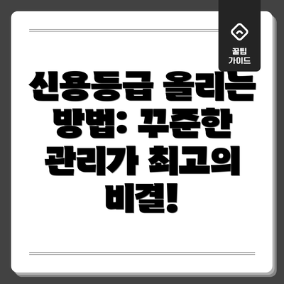 신용등급 올리는 방법: 꾸준한 관리가 최고의 비결!