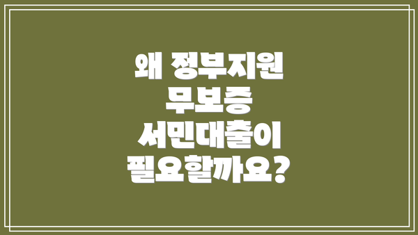 왜 정부지원 무보증 서민대출이 필요할까요?