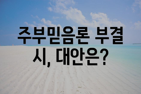 주부믿음론 부결 시, 대안은?