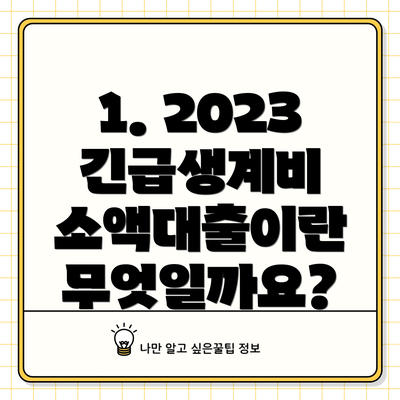 1. 2023 긴급생계비 소액대출이란 무엇일까요?