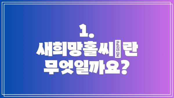 1. 새희망홀씨Ⅱ란 무엇일까요?