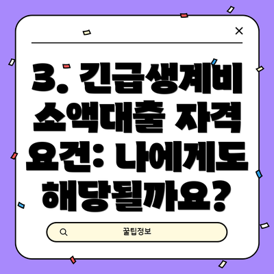 3. 긴급생계비 소액대출 자격 요건: 나에게도 해당될까요?