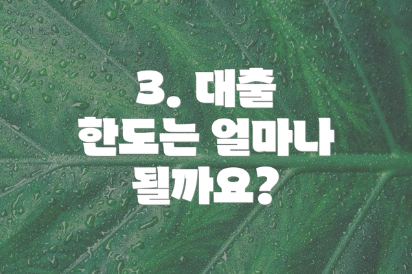 3. 대출 한도는 얼마나 될까요?