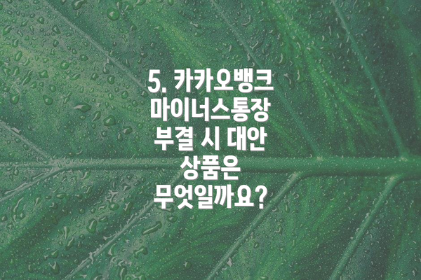 5. 카카오뱅크 마이너스통장 부결 시 대안 상품은 무엇일까요?