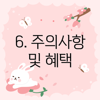 6. 주의사항 및 혜택