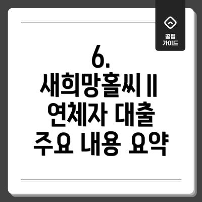 6.  새희망홀씨Ⅱ 연체자 대출 주요 내용 요약