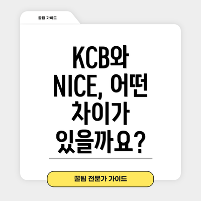 KCB와 NICE, 어떤 차이가 있을까요?