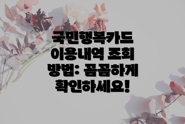 국민행복카드 이용내역 조회 방법: 꼼꼼하게 확인하세요!