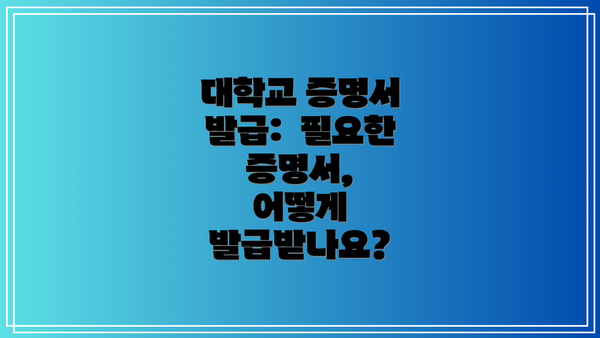 대학교 증명서 발급:  필요한 증명서,  어떻게 발급받나요?