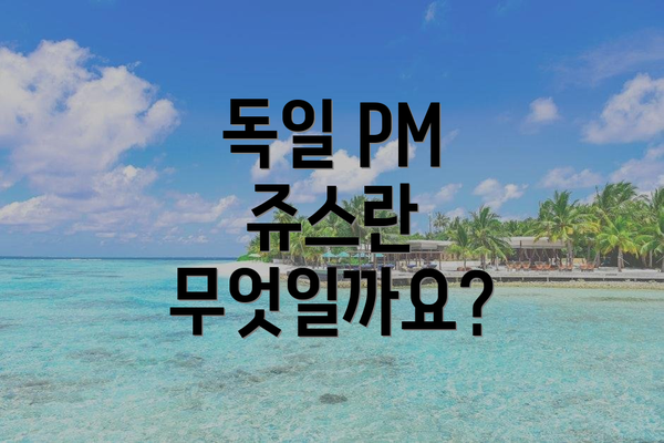 독일 PM 쥬스란 무엇일까요?