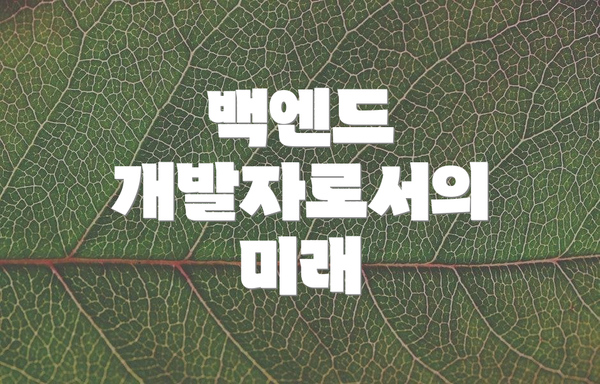 백엔드 개발자로서의 미래
