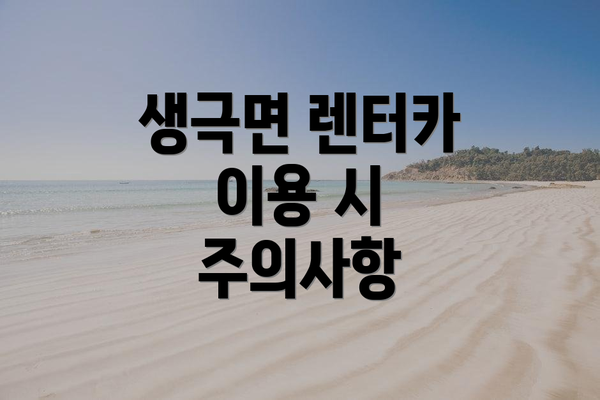 생극면 렌터카 이용 시 주의사항