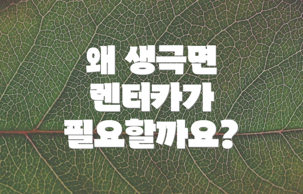 왜 생극면 렌터카가 필요할까요?