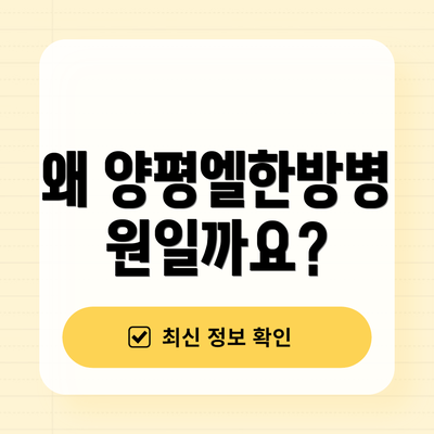 왜 양평엘한방병원일까요?