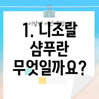 1. 니조랄 샴푸란 무엇일까요?