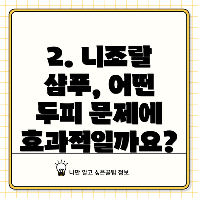 2. 니조랄 샴푸, 어떤 두피 문제에 효과적일까요?
