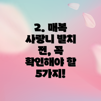 2. 매복 사랑니 발치 전, 꼭 확인해야 할 5가지!