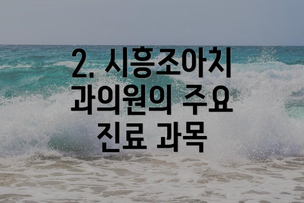 2. 시흥조아치과의원의 주요 진료 과목