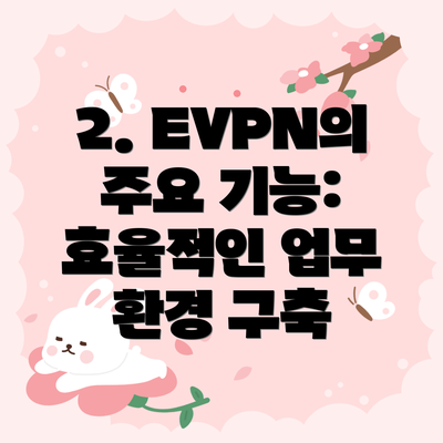 2. EVPN의 주요 기능: 효율적인 업무 환경 구축