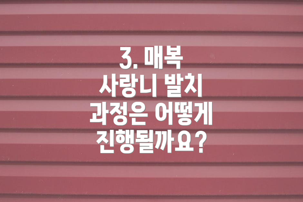 3. 매복 사랑니 발치 과정은 어떻게 진행될까요?