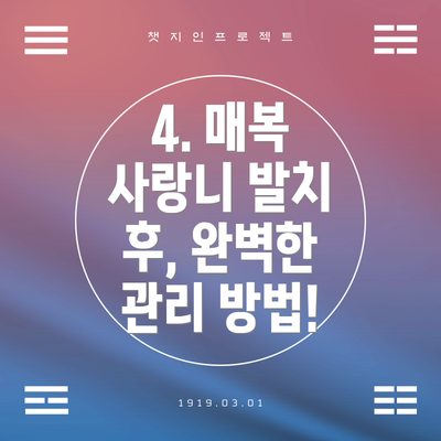 4. 매복 사랑니 발치 후, 완벽한 관리 방법!