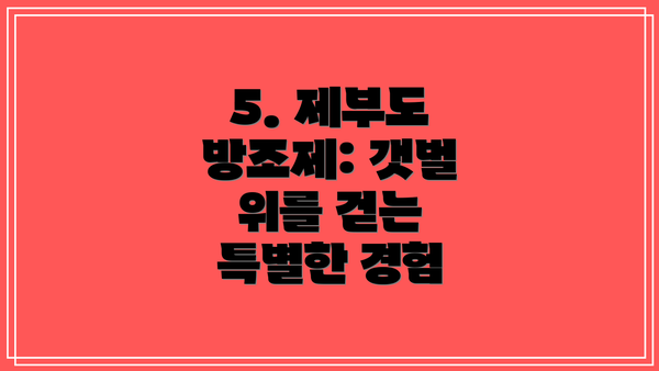 5. 제부도 방조제: 갯벌 위를 걷는 특별한 경험