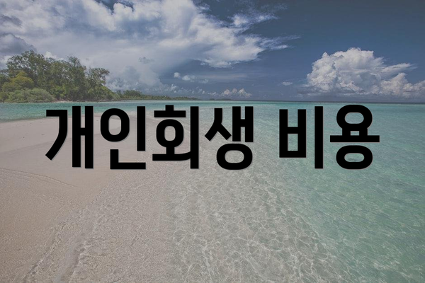 개인회생 비용