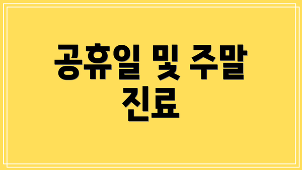 공휴일 및 주말 진료