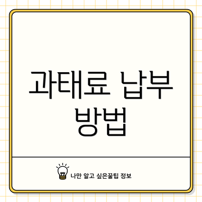 과태료 납부 방법