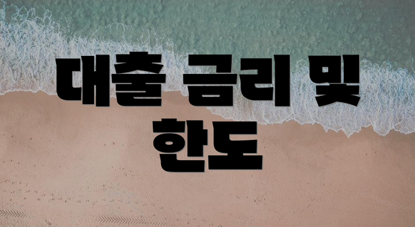 대출 금리 및 한도