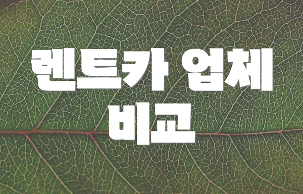 렌트카 업체 비교