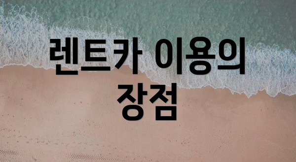 렌트카 이용의 장점