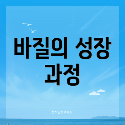 바질의 성장 과정