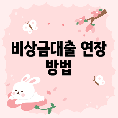 비상금대출 연장 방법
