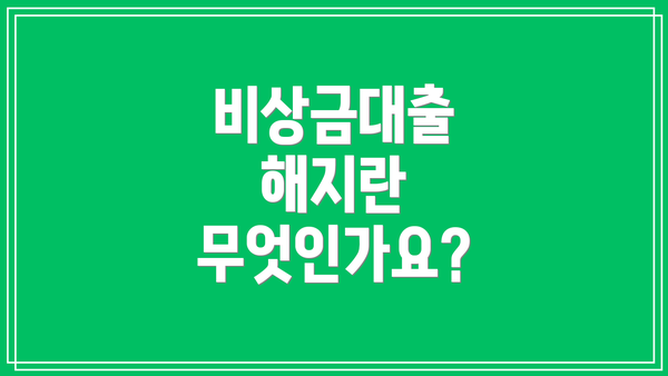 비상금대출 해지란 무엇인가요?