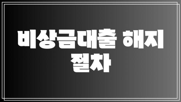 비상금대출 해지 절차