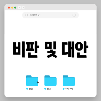 비판 및 대안