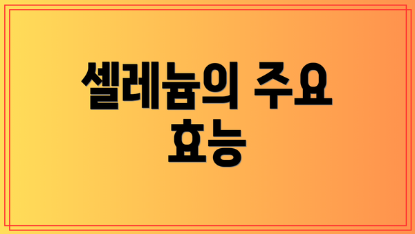 셀레늄의 주요 효능