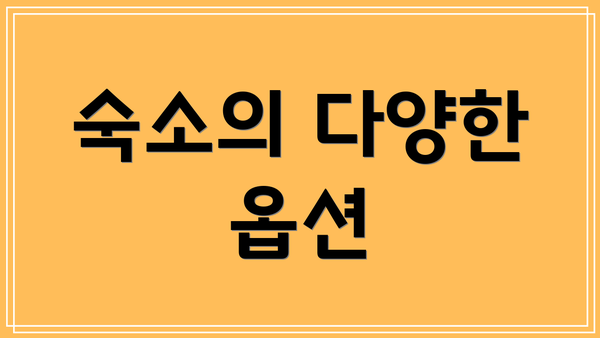 숙소의 다양한 옵션