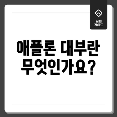 애플론 대부란 무엇인가요?