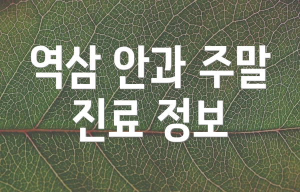 역삼 안과 주말 진료 정보