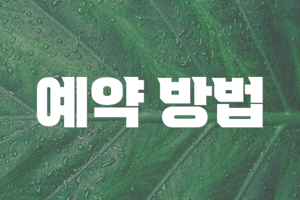 예약 방법