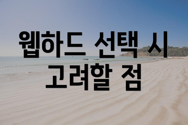 웹하드 선택 시 고려할 점