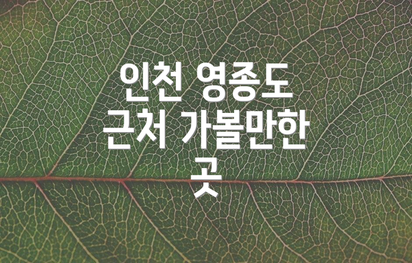 인천 영종도 근처 가볼만한 곳