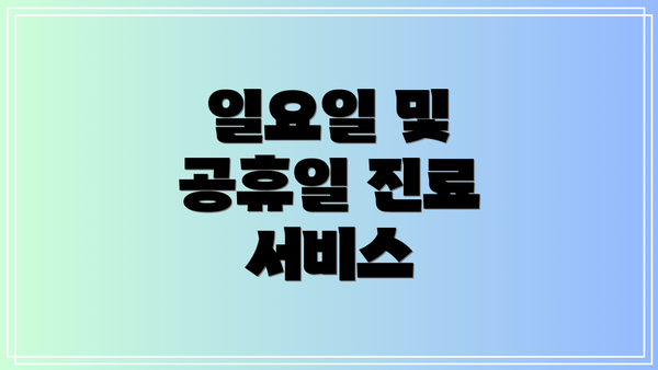 일요일 및 공휴일 진료 서비스