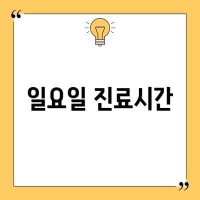 일요일 진료시간