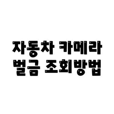 자동차 카메라 벌금 조회방법