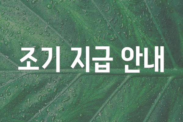 조기 지급 안내