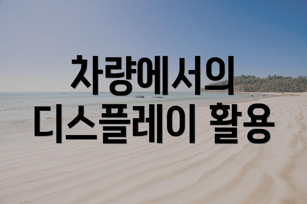 차량에서의 디스플레이 활용